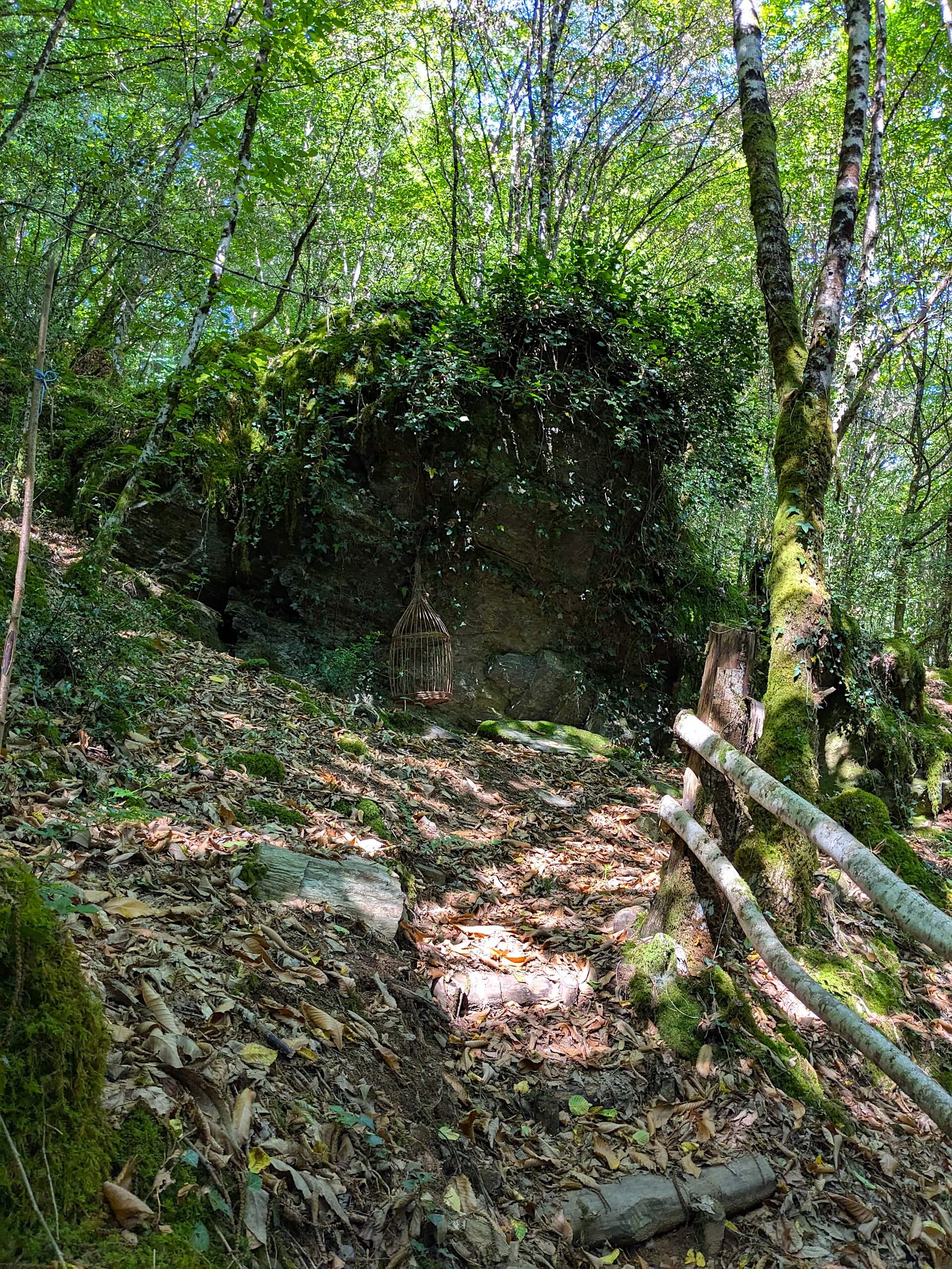 Sentier du Bois Jeansac, Glanges - photo 18