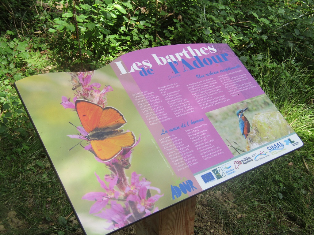 Les barthes de l'Adour, Gousse - photo 9