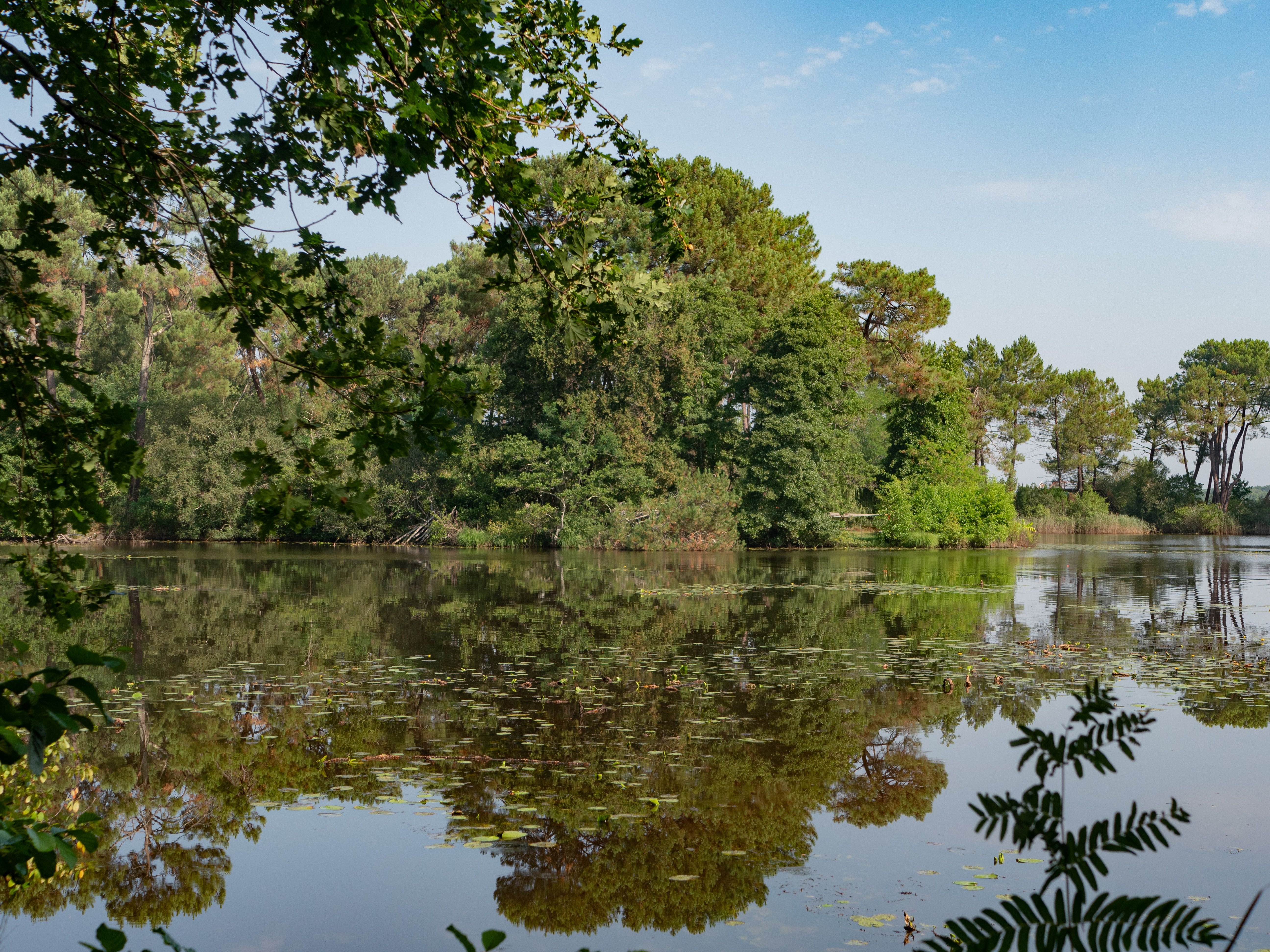 Le sentier de la Berle : un sentier naturellement fun !, Lacanau - photo 5