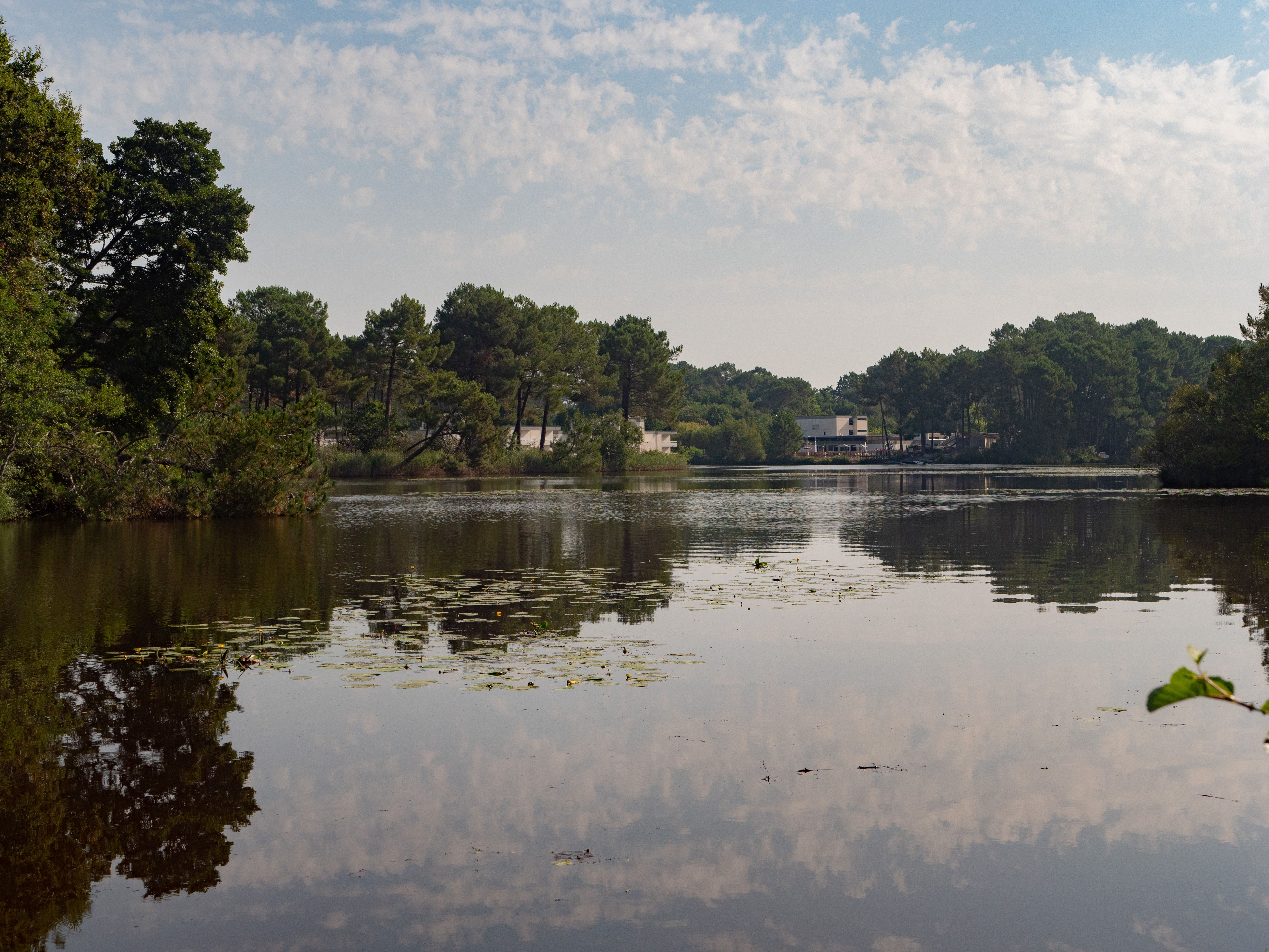 Le sentier de la Berle : un sentier naturellement fun !, Lacanau - photo 2
