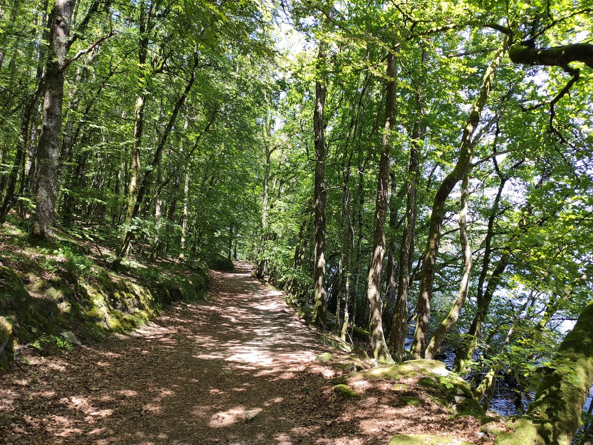 GRP® Monts et Barrages en Limousin - Etape 4 - Du lac de Vassivière (Auphelle) à Nedde