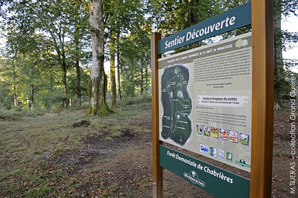 Sentier découverte de la Forêt de Chabrières