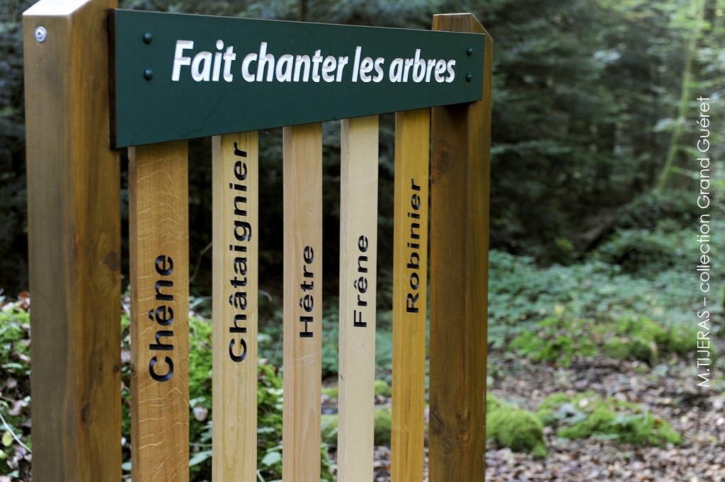 Sentier découverte de la Forêt de Chabrières, Guéret
