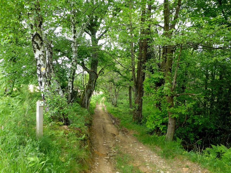 Sentier de découverte du Laring