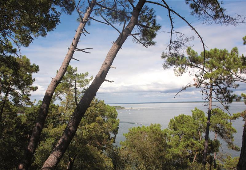 Sentier du lac Maubuisson - © Médoc Atlantique