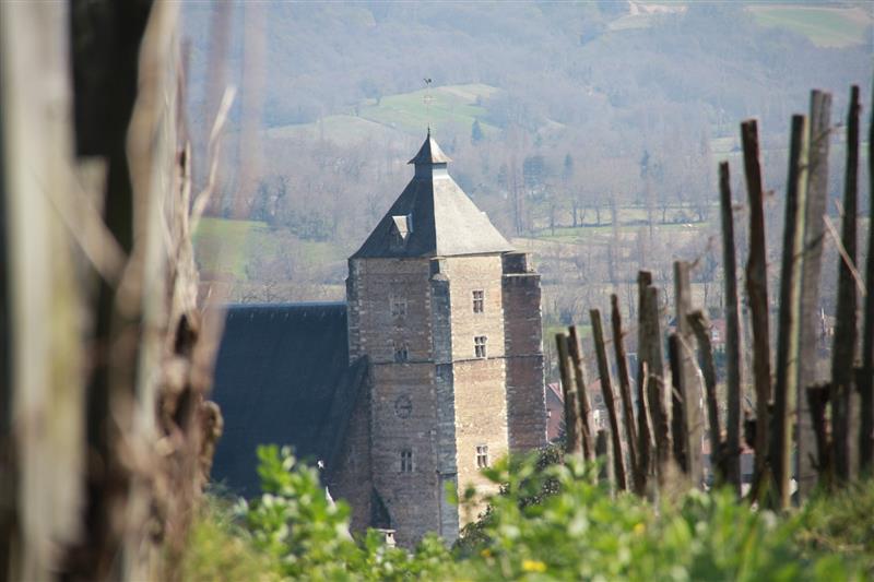 Sentier de découverte 