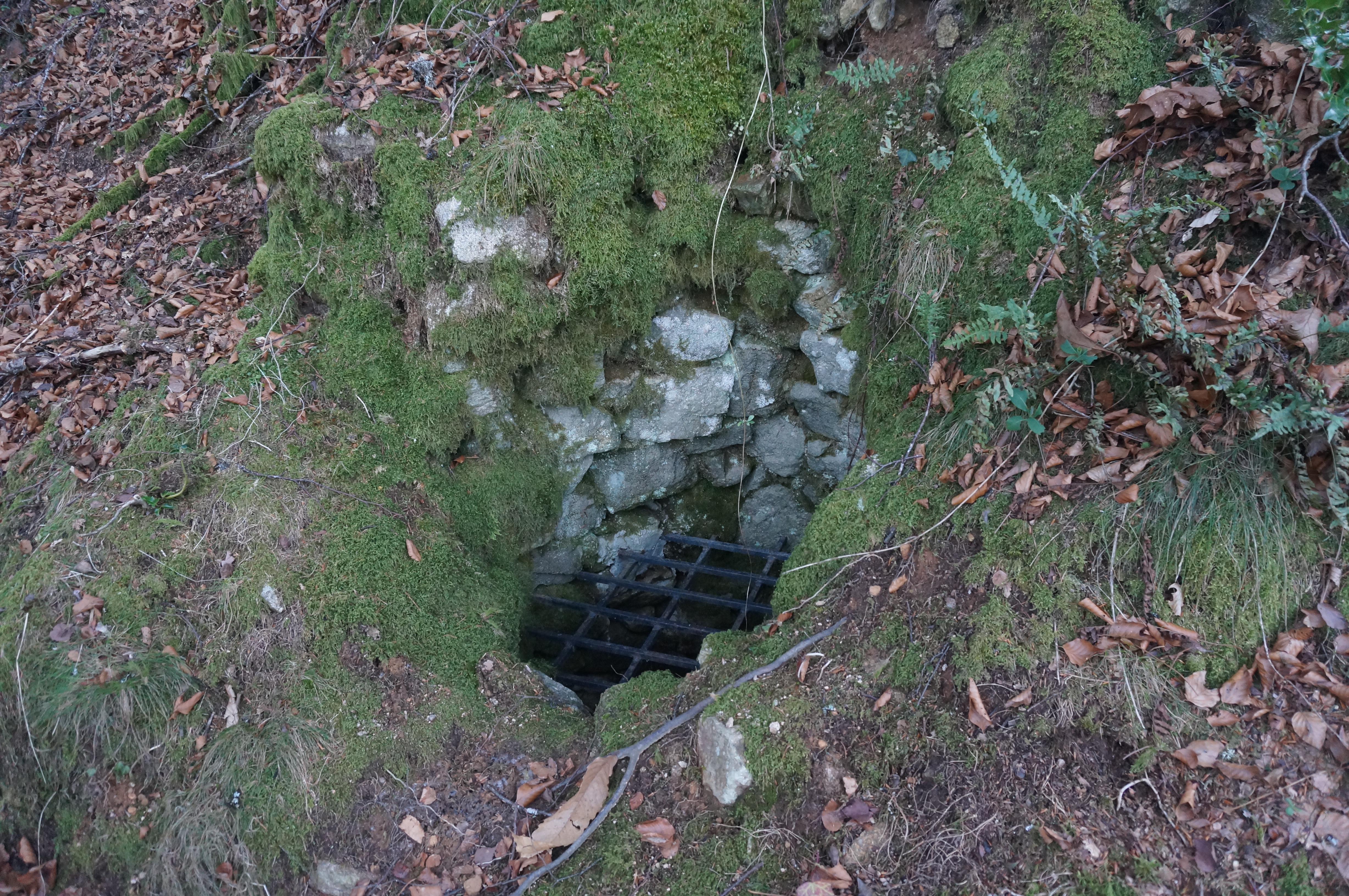 Sur les traces des Bonnes Fontaines du Mont Ceix, Chamberet