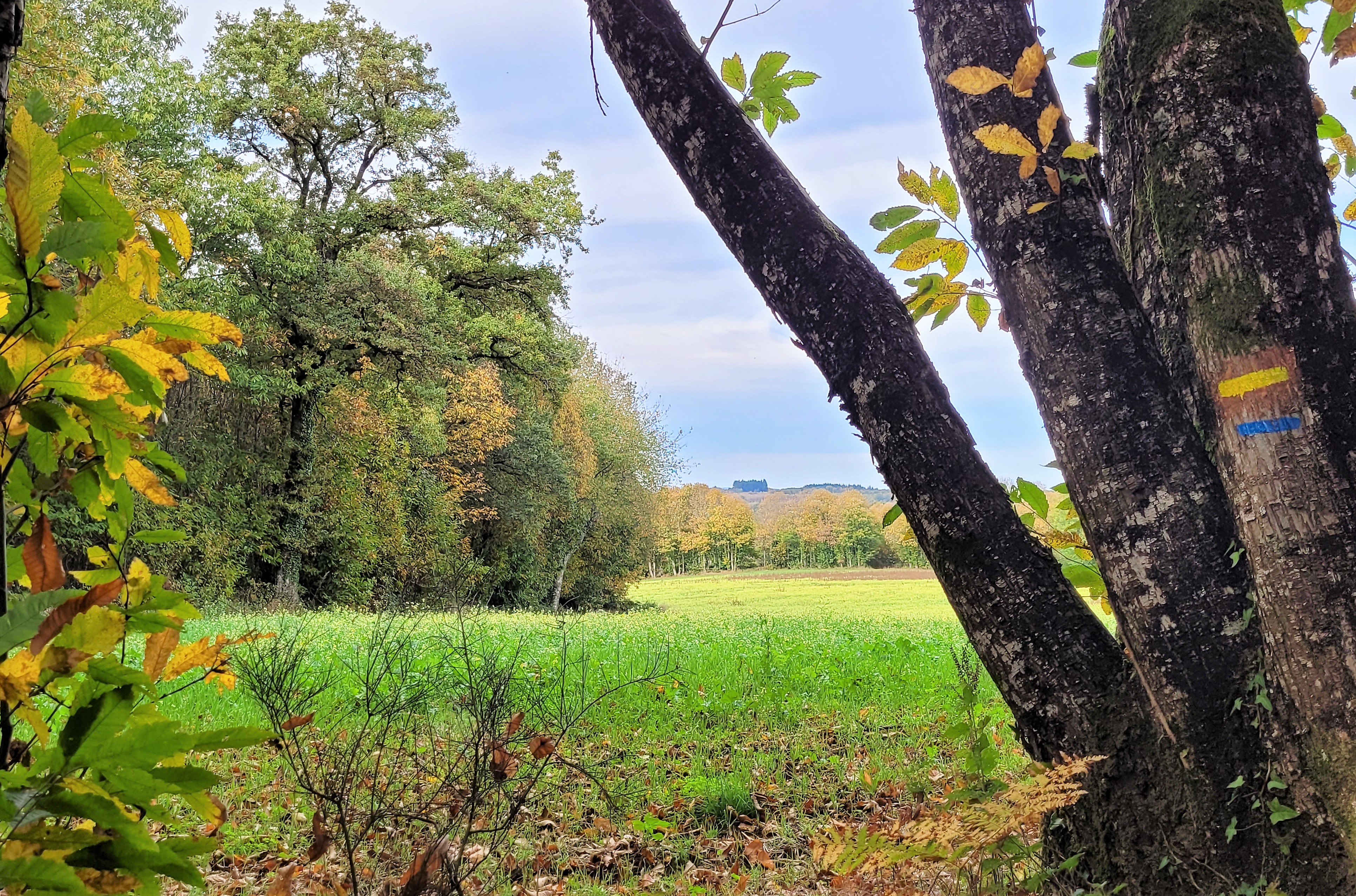 Circuit du Moulichou, Châlus - photo 10