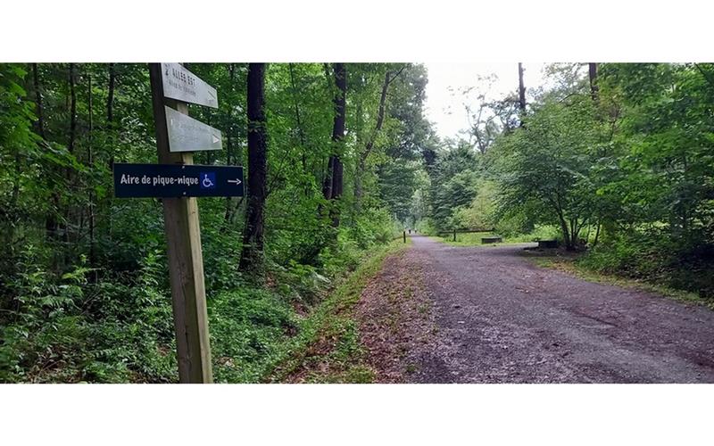 Sentier accessible du bois de Pau