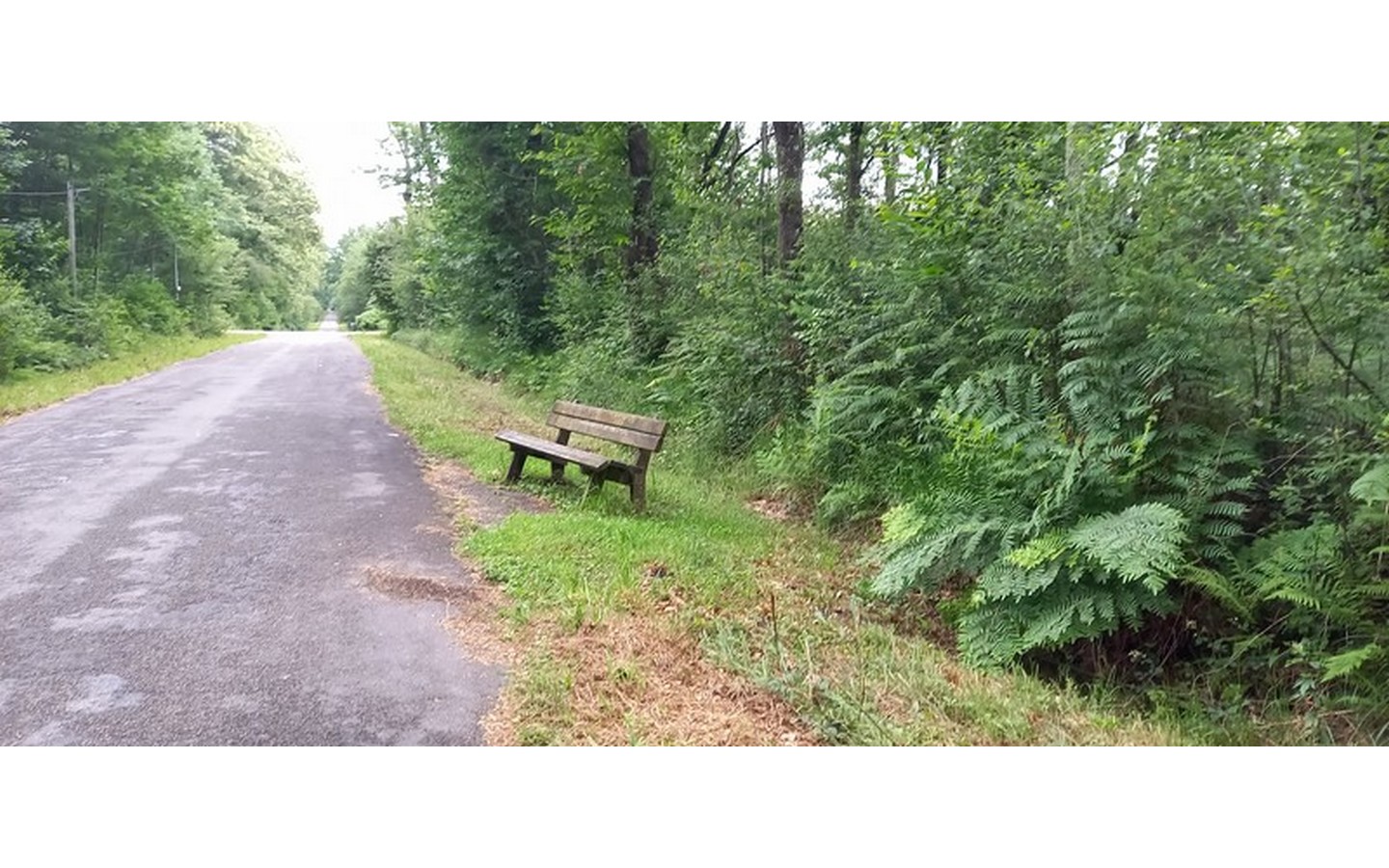 Sentier accessible du bois de Pau - photo 2