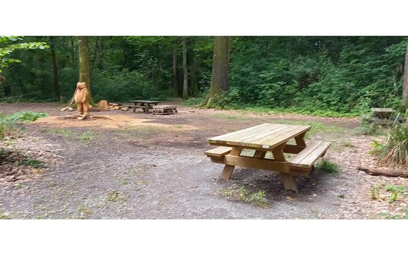 Sentier accessible du bois de Pau