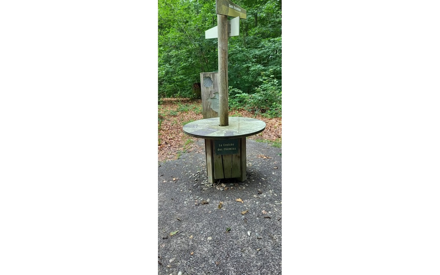 Sentier accessible du bois de Pau - photo 3