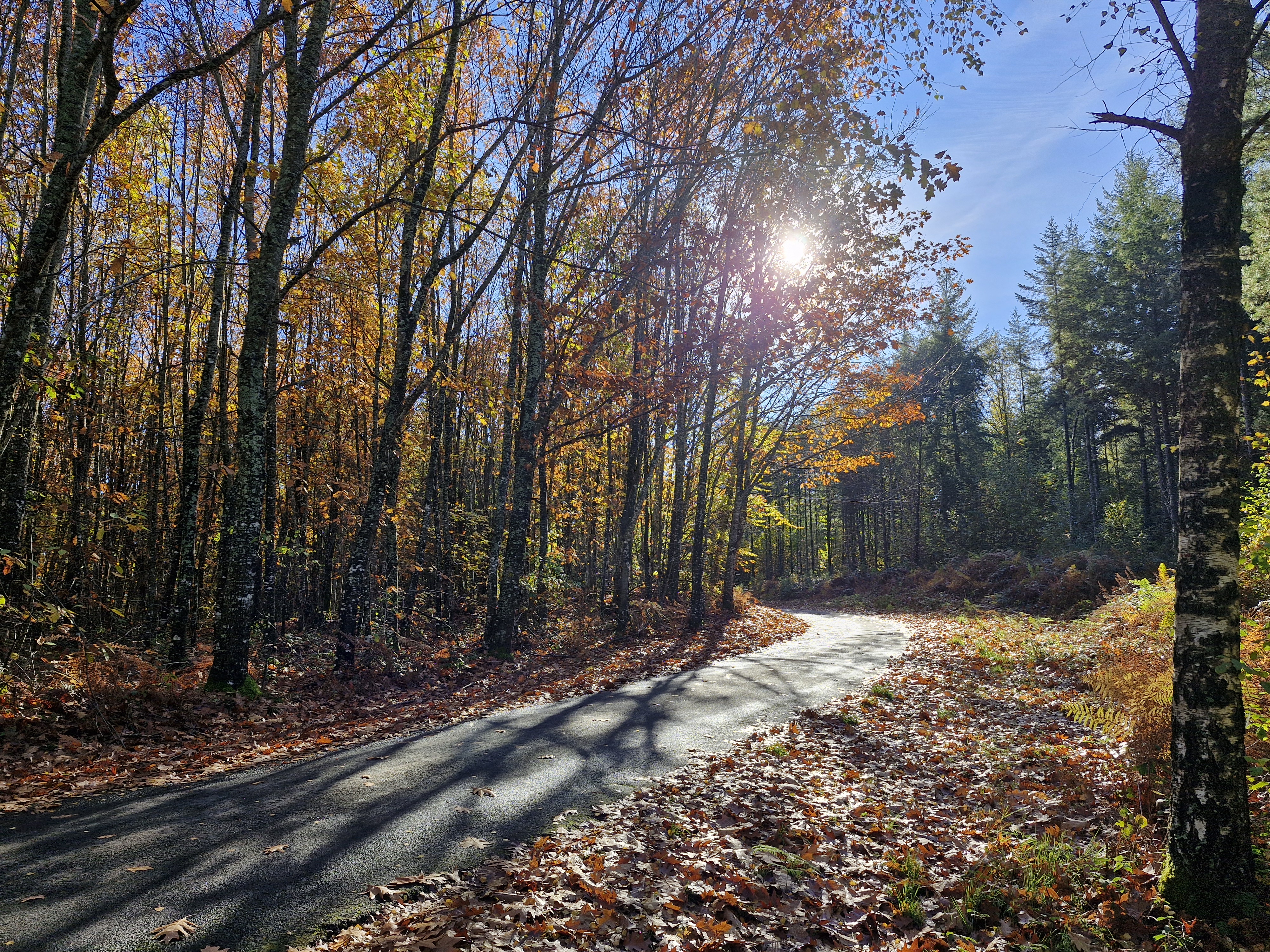 Circuit du bourg, Lamongerie - photo 8