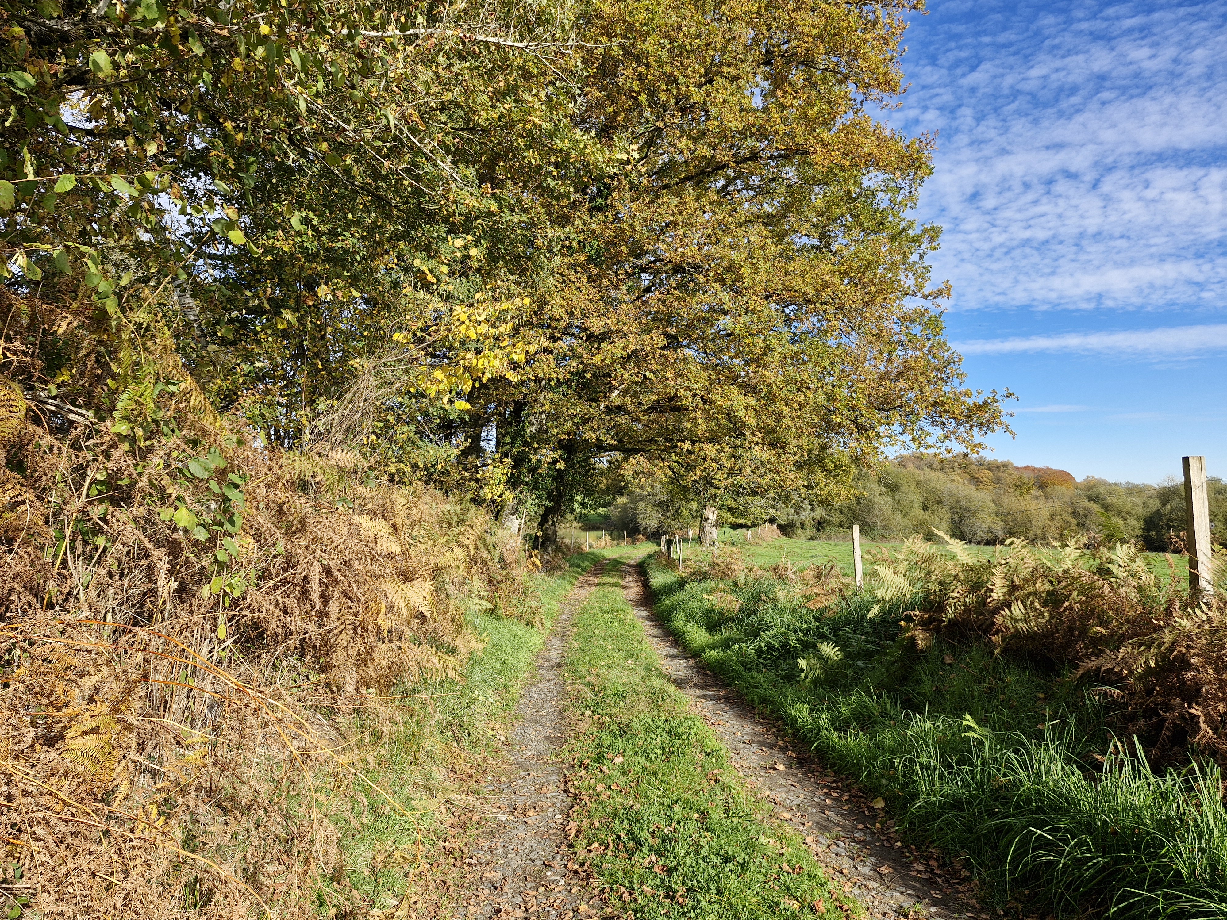 Pont des Farges et de Chanterane - photo 2