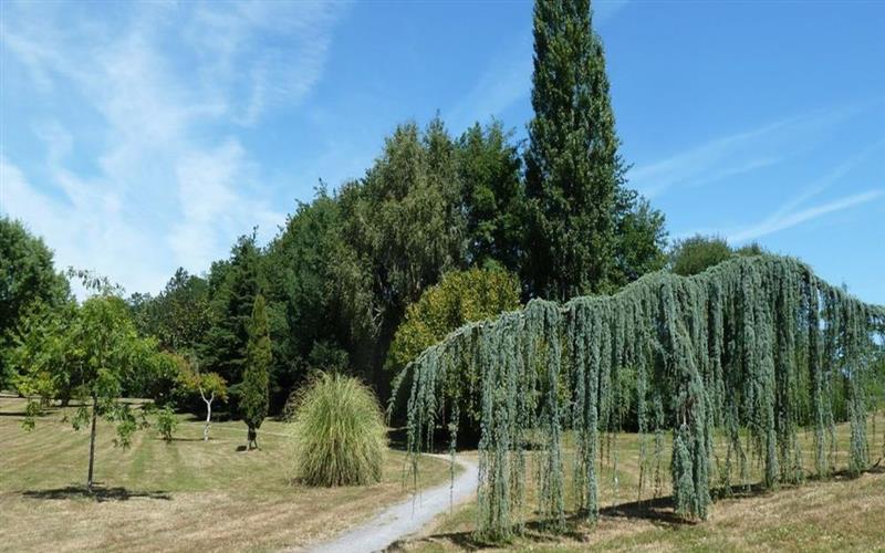 Parcours d'orientation