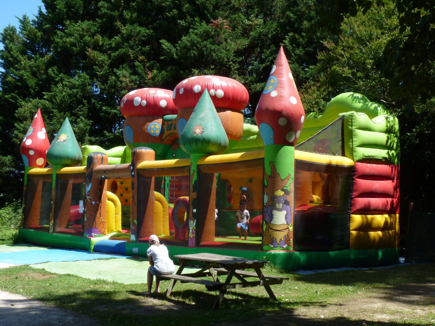 Acrojungle Outdoor, Serres-Castet - photo 7