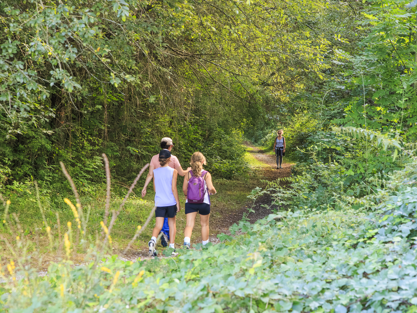 Les Berges de l'Arlas et du Luy de Béarn, Serres-Castet - photo 12