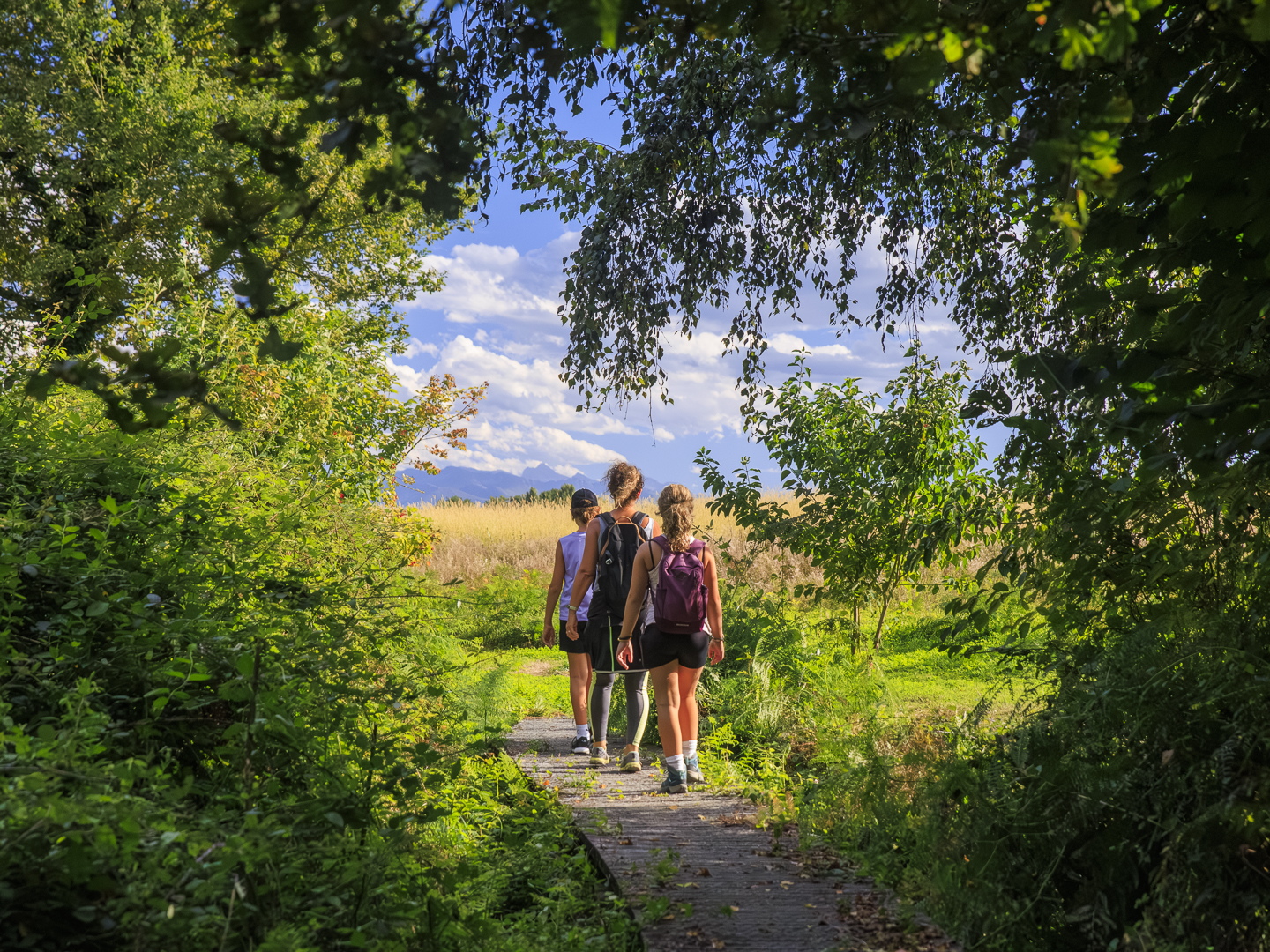RDV nature 64, promenade en paysages d'eaux, Serres-Castet - photo 8