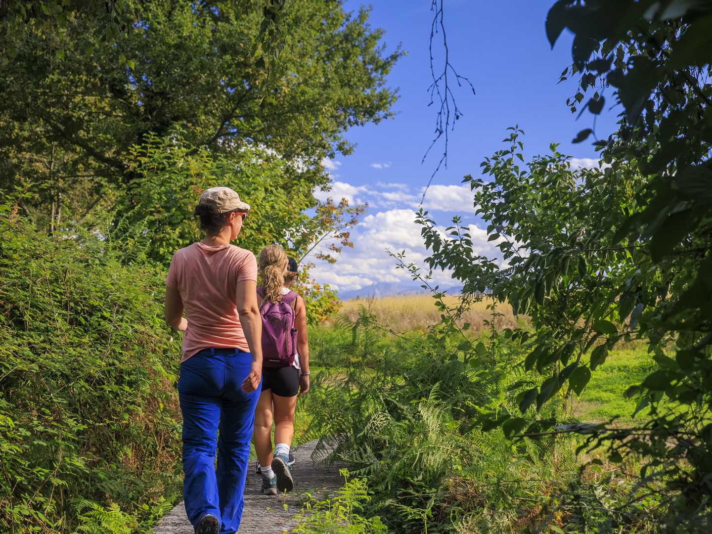 Les Berges de l'Arlas et du Luy de Béarn, Serres-Castet - photo 14