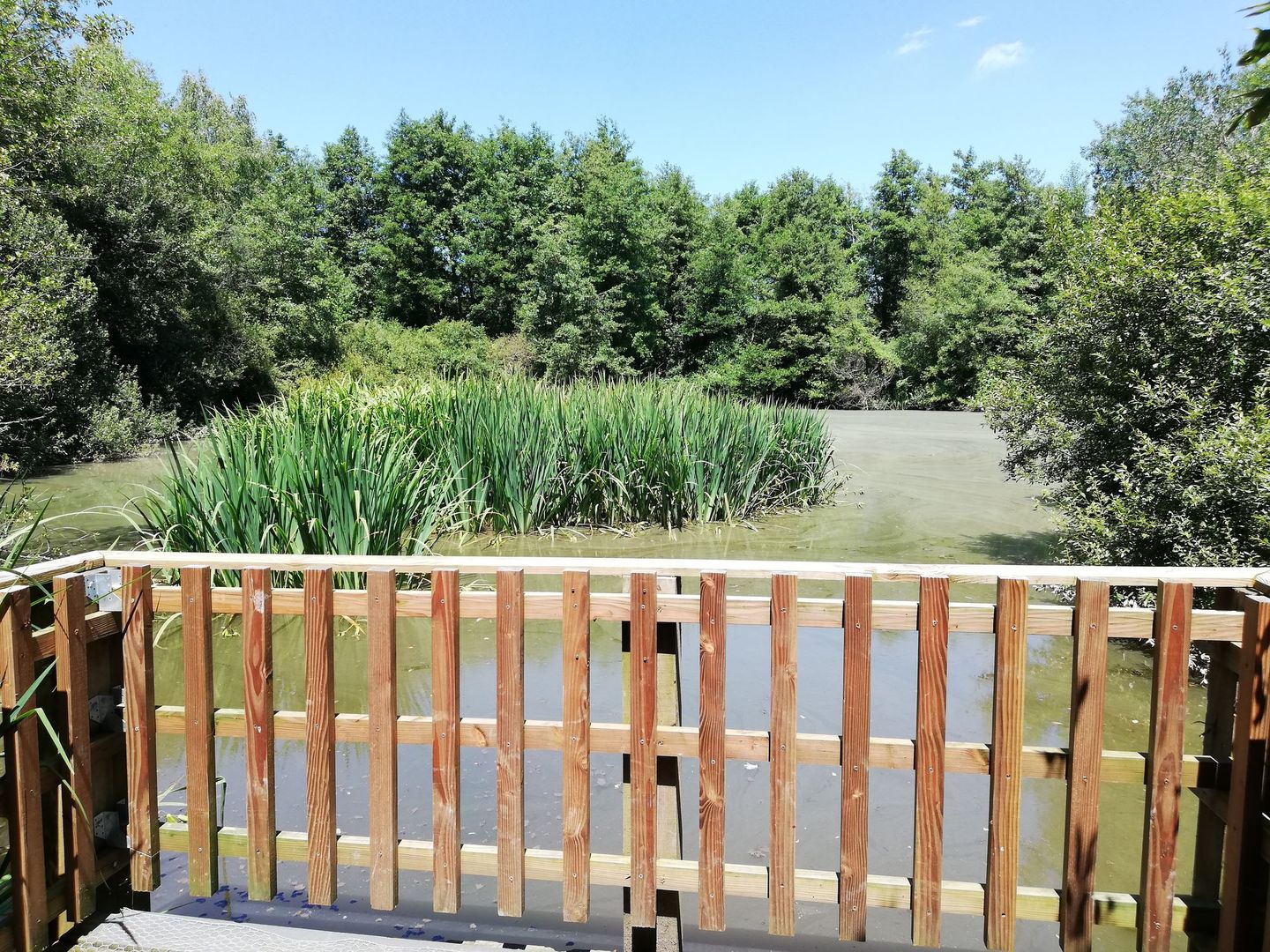 Les Berges de l'Arlas et du Luy de Béarn