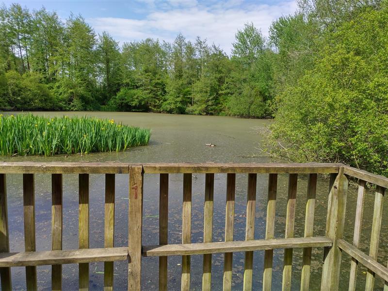 Aire de pique-nique de l'allée de la Clairière