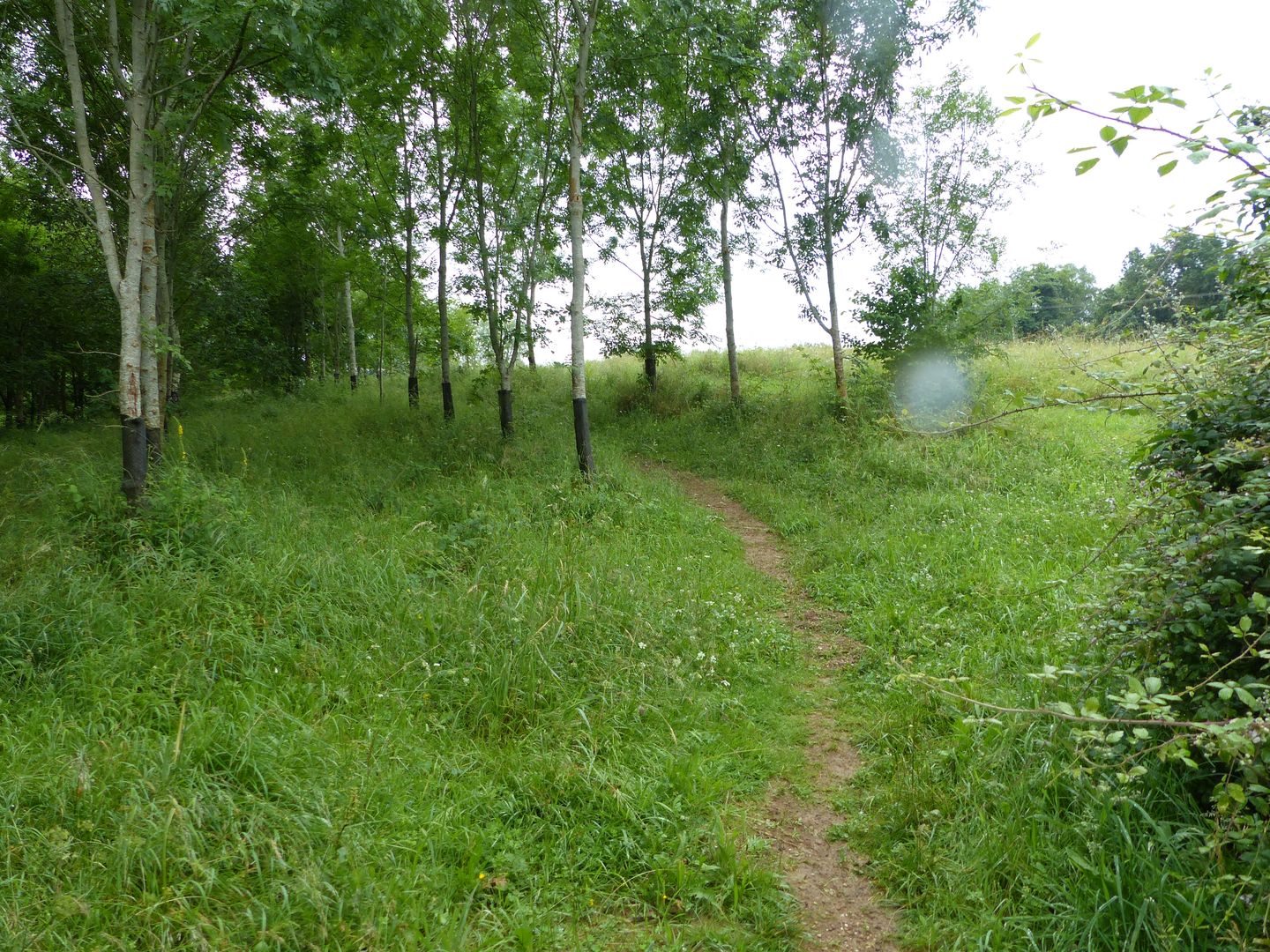 Serres-Castet : la balade des collines - photo 4