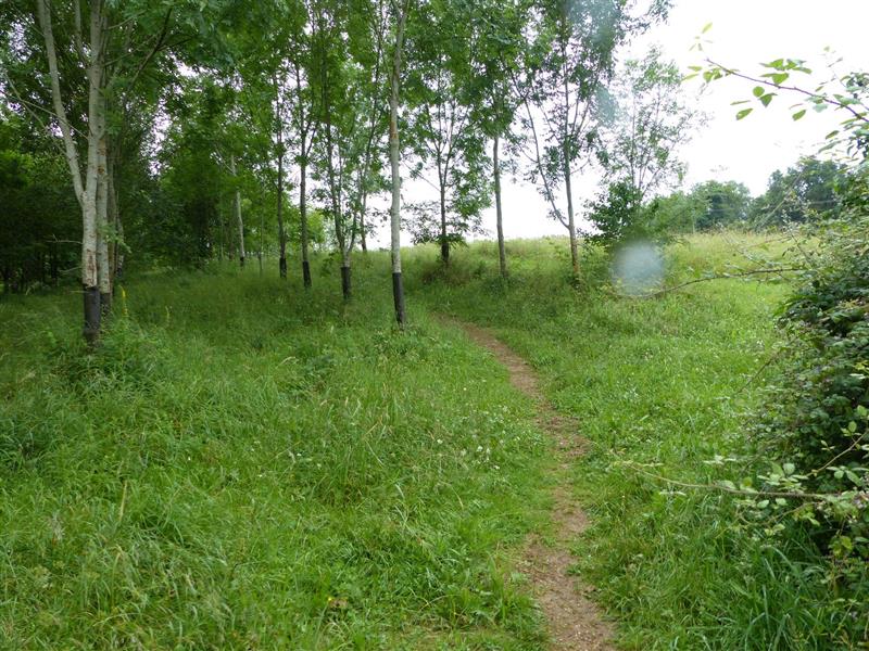 Serres-Castet : la balade des collines