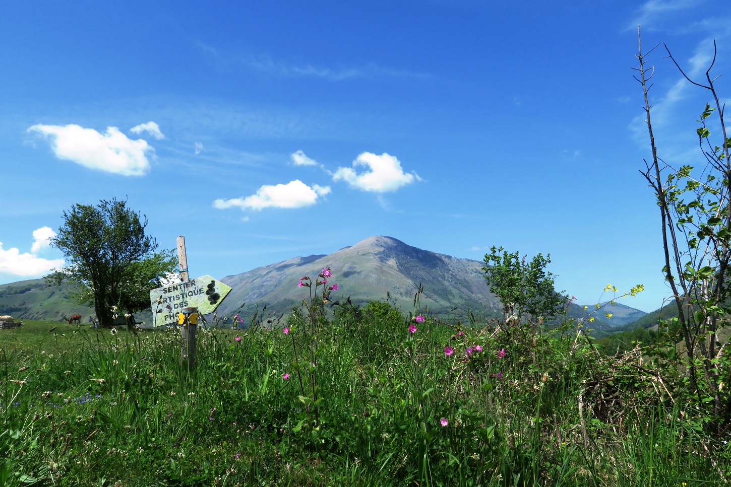 N°27 Tour du Poey — Randonnées pédestres à Pyrénées-Atlantiques