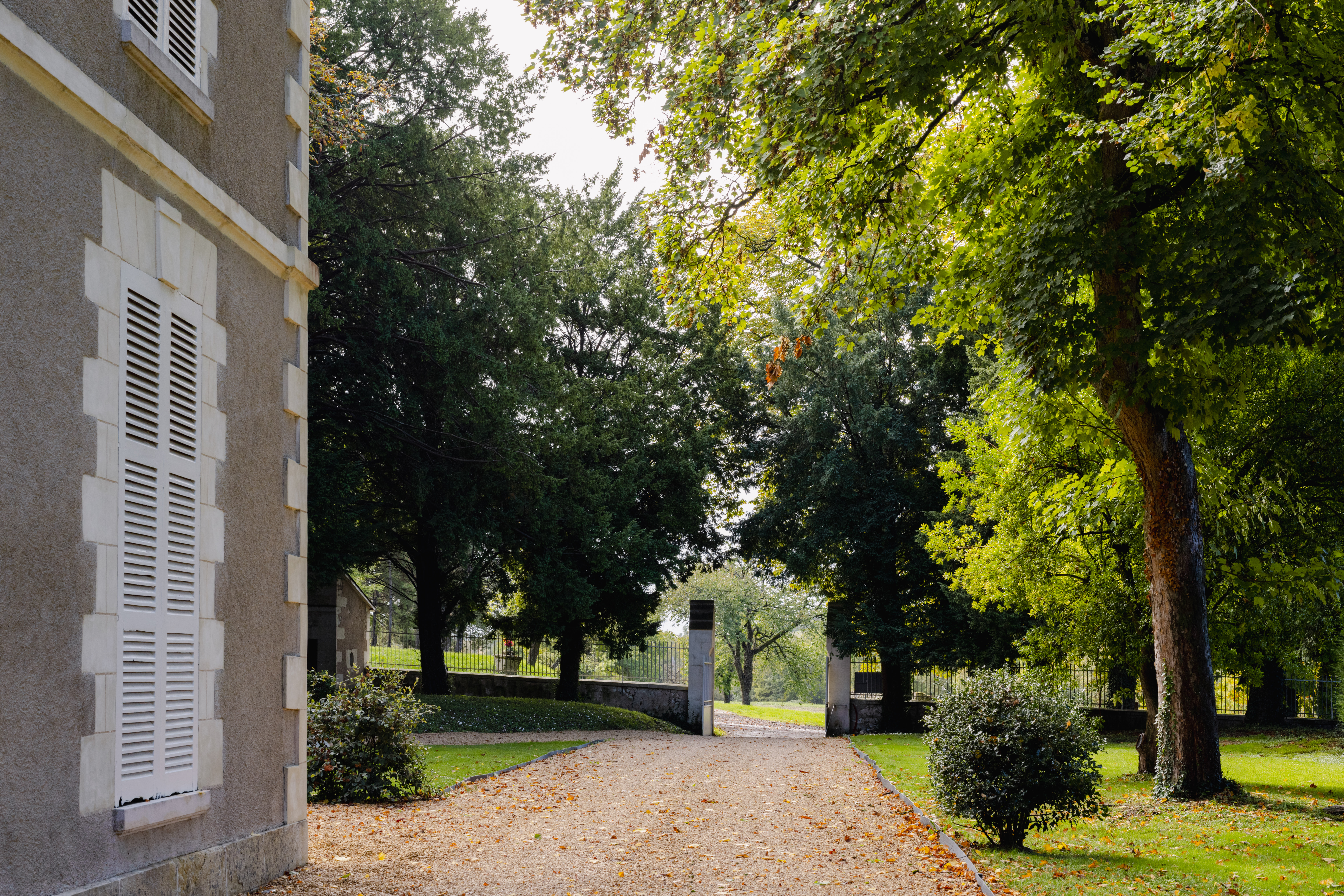 Domaine de la Boutelaye - Chambre Sequoia, Lésigny - photo 19