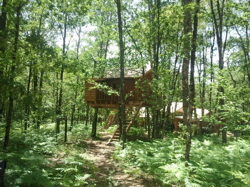 Domaine des 5 Eléments, Camps-Saint-Mathurin-Léobazel - photo 26