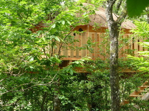 Domaine des 5 Eléments, Camps-Saint-Mathurin-Léobazel - photo 10