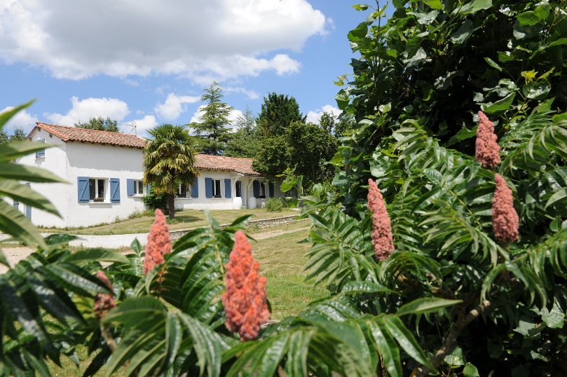 Simply Canvas - Maison de vacances - photo 5