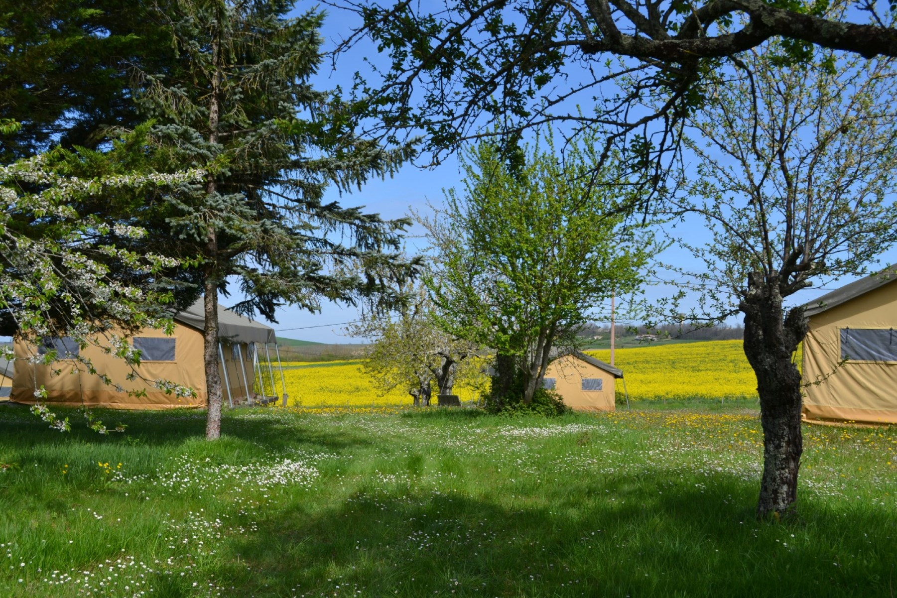 Simply Canvas, Saint-Jean-de-Duras - photo 4