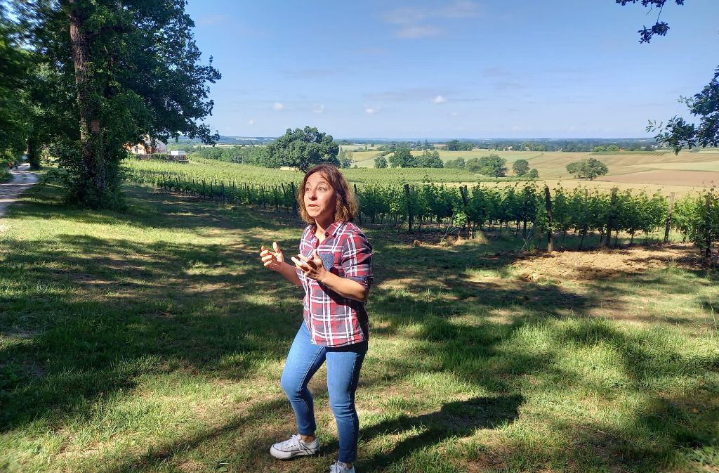 Domaine du Siorac - photo 4