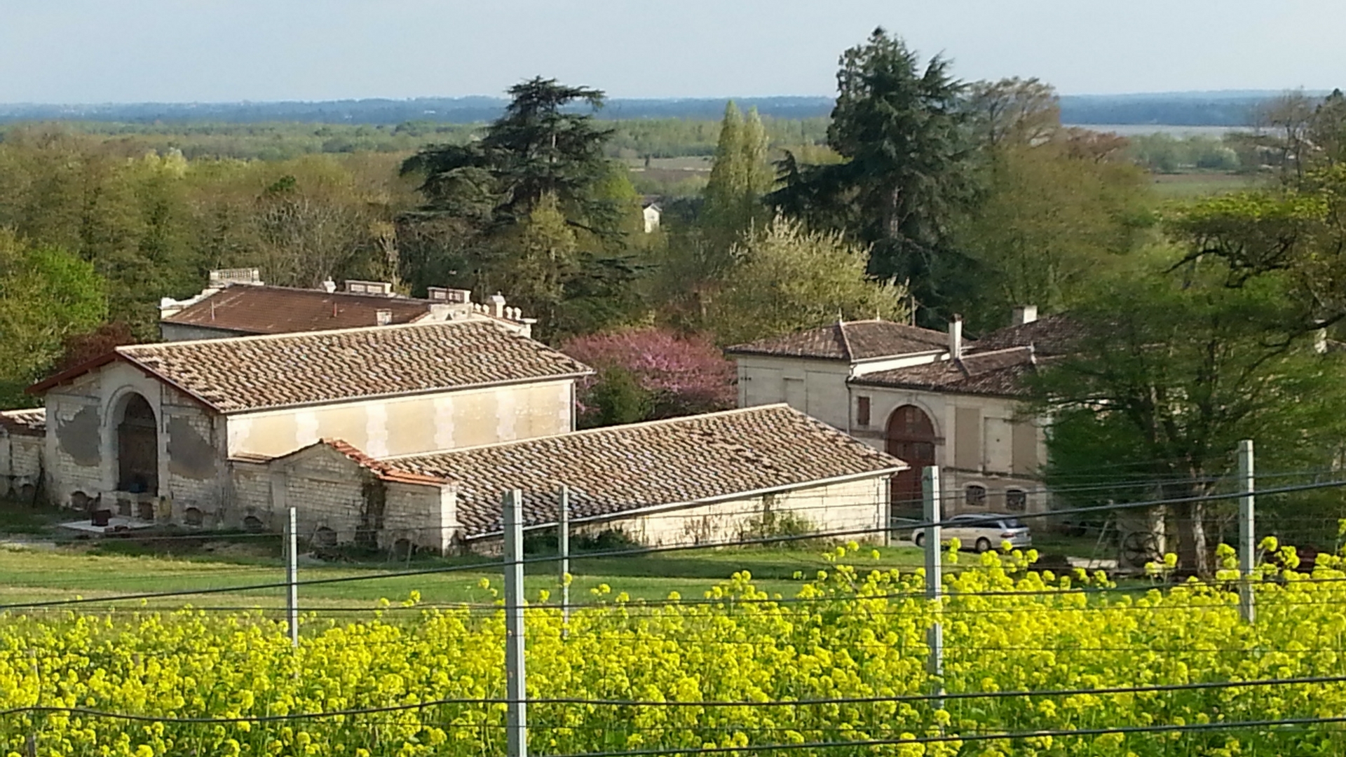 Château l'Escarderie — photo 2