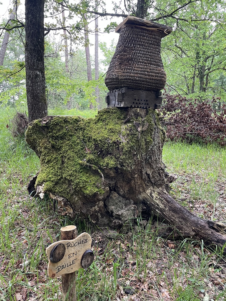 Site de la Charbonnière - Patrimoine paysan du Landais, Saint-Géraud-de-Corps - photo 4