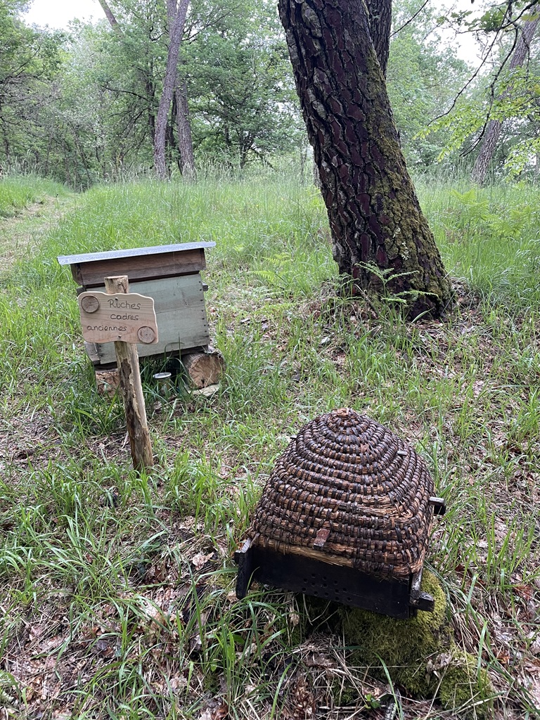 Site de la Charbonnière - Patrimoine paysan du Landais, Saint-Géraud-de-Corps - photo 7