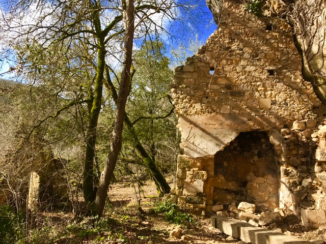 Boucle de la Forêt Nord/ le Polissoir n°5 / Campagne, Campagne - photo 3
