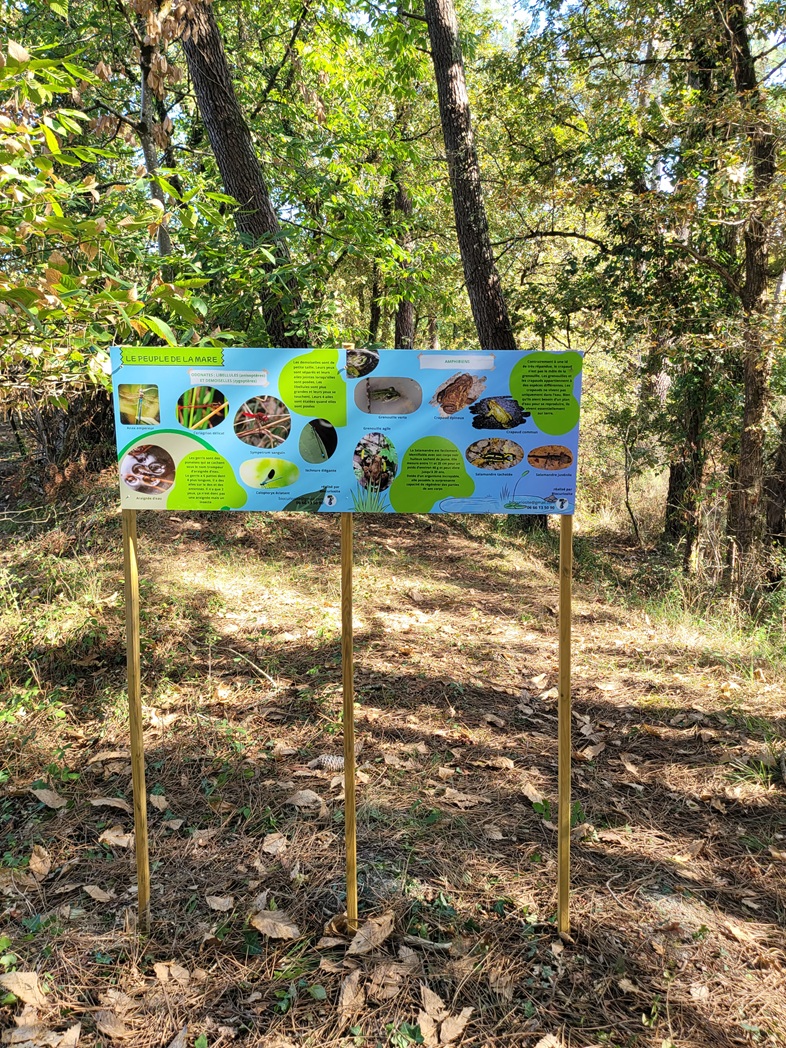 Site de la Charbonnière - Patrimoine paysan du Landais, Saint-Géraud-de-Corps - photo 9