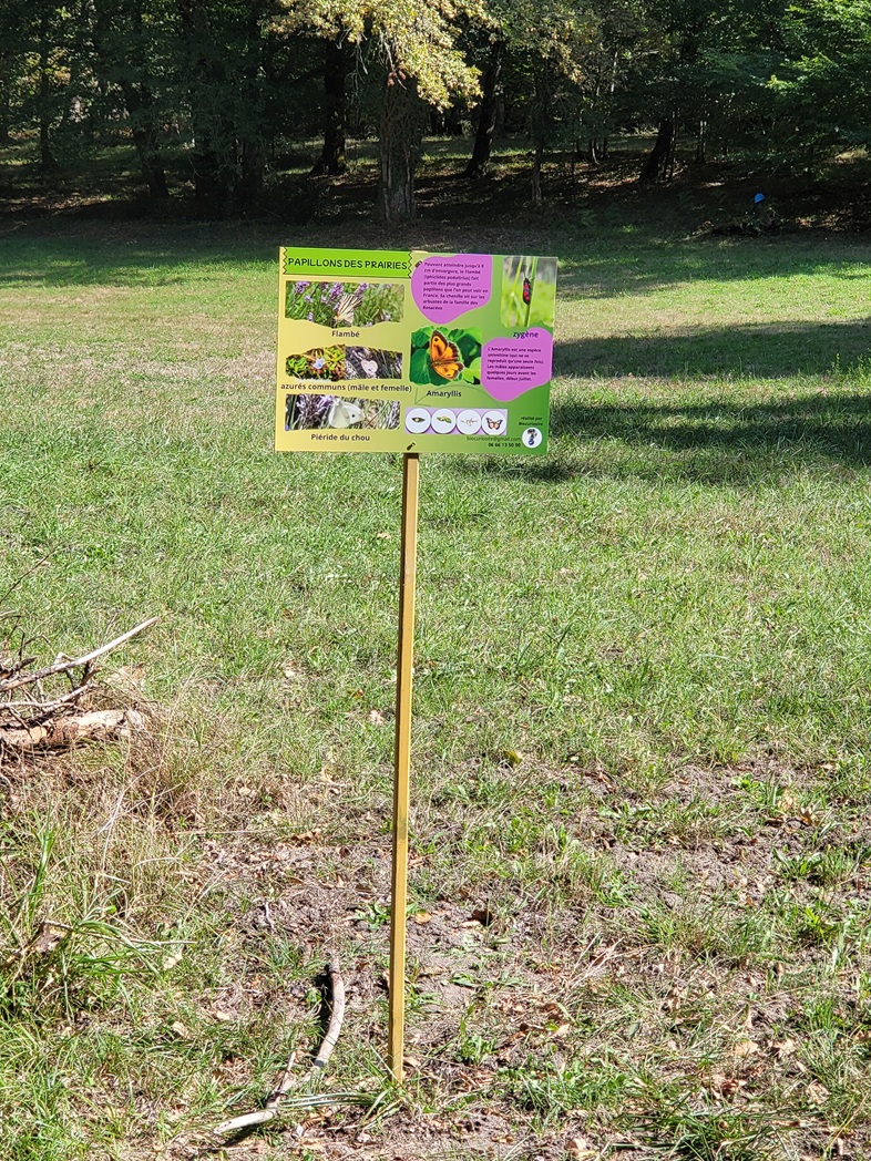 Randonnée spectacle dans la forêt du Landais