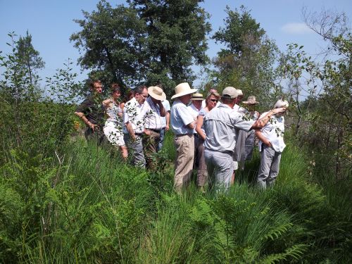 Site de Garlande et Gaouchey