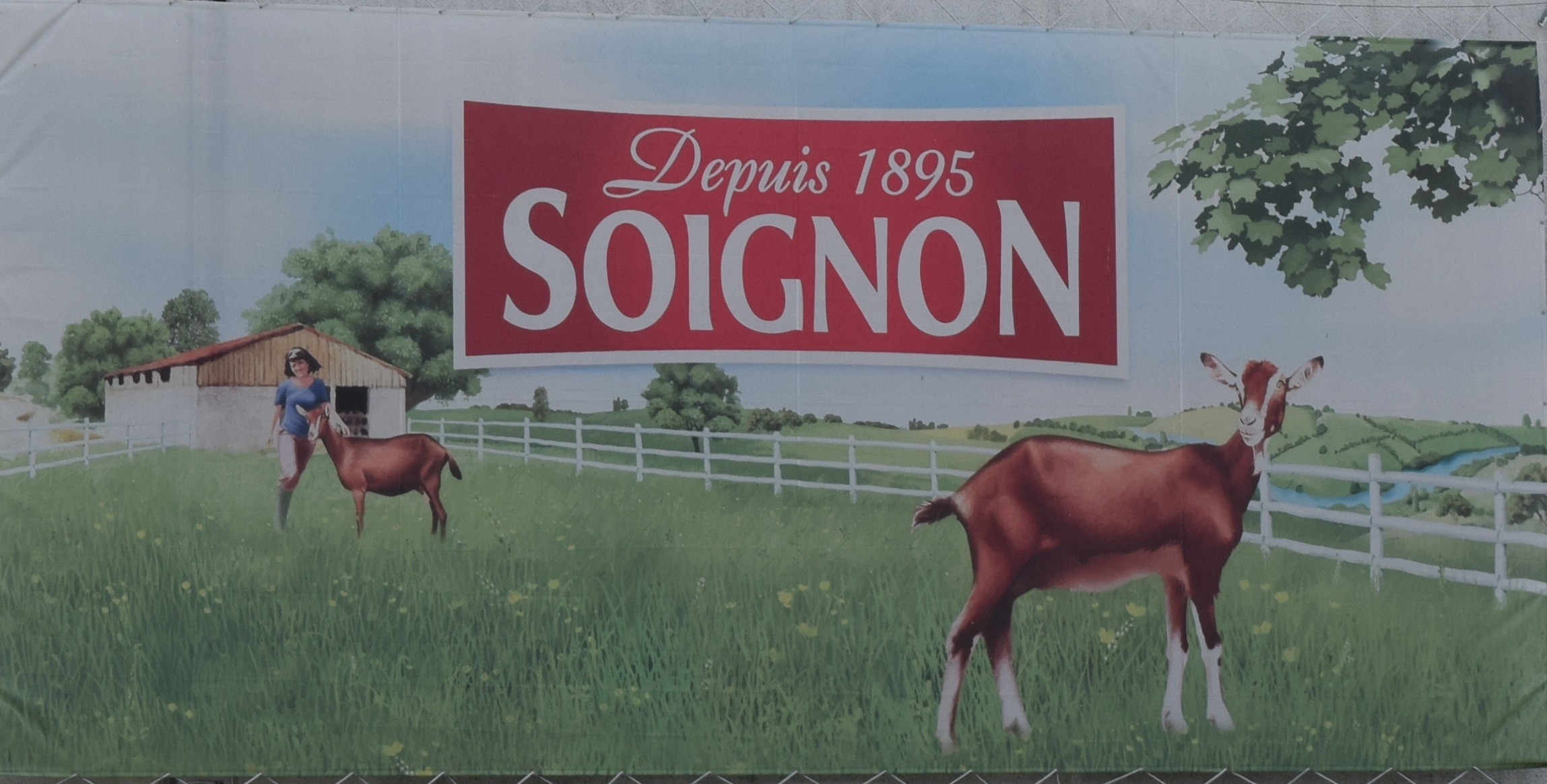 Fromagerie Soignon
