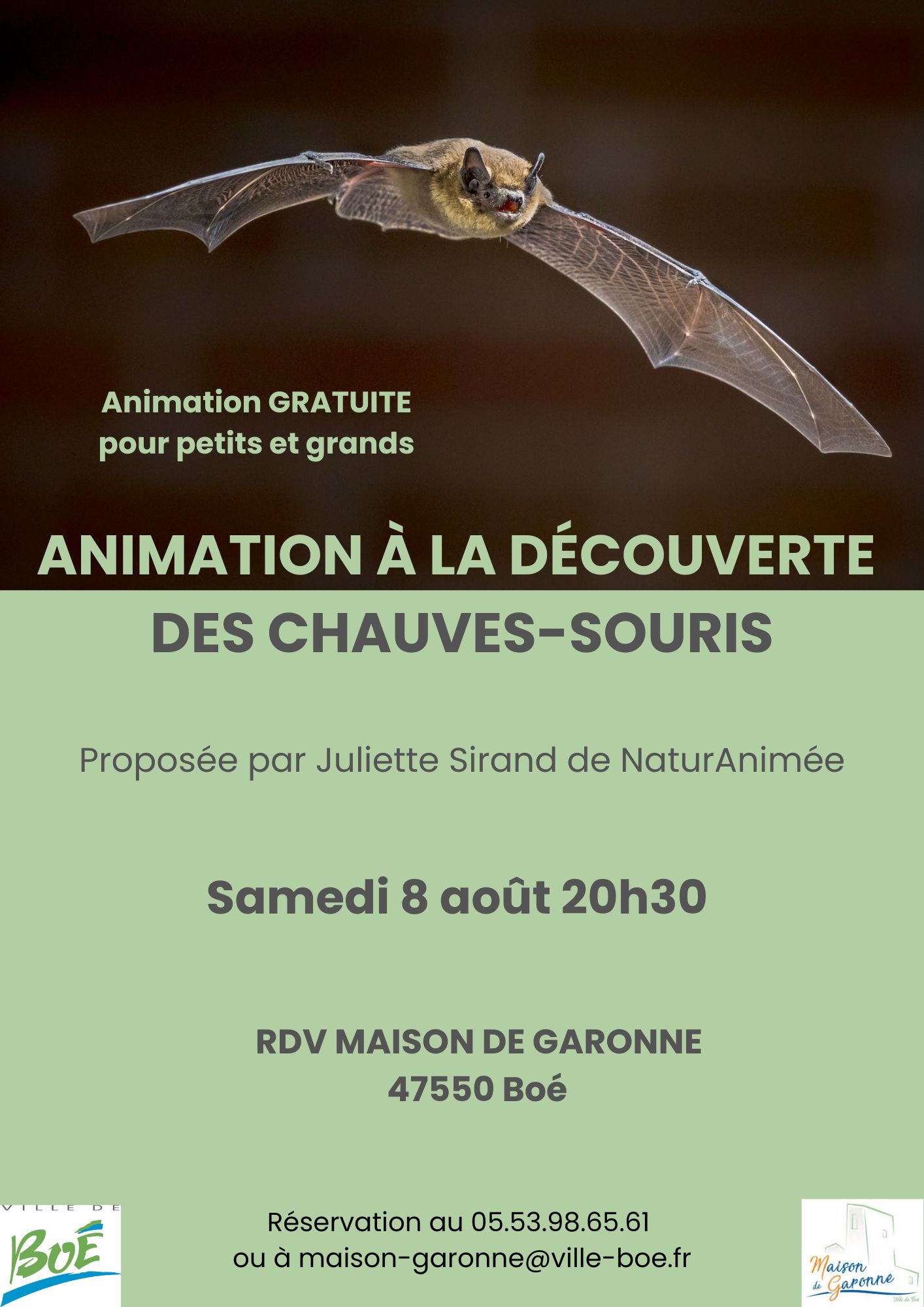 A la découverte des chauves-souris
