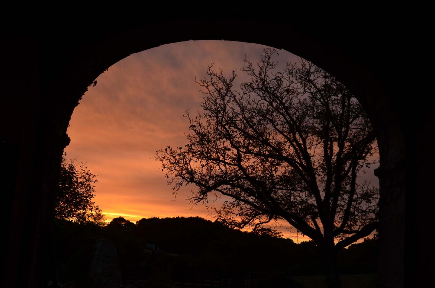 Domaine de la Castagnère, Castetnau-Camblong - photo 2