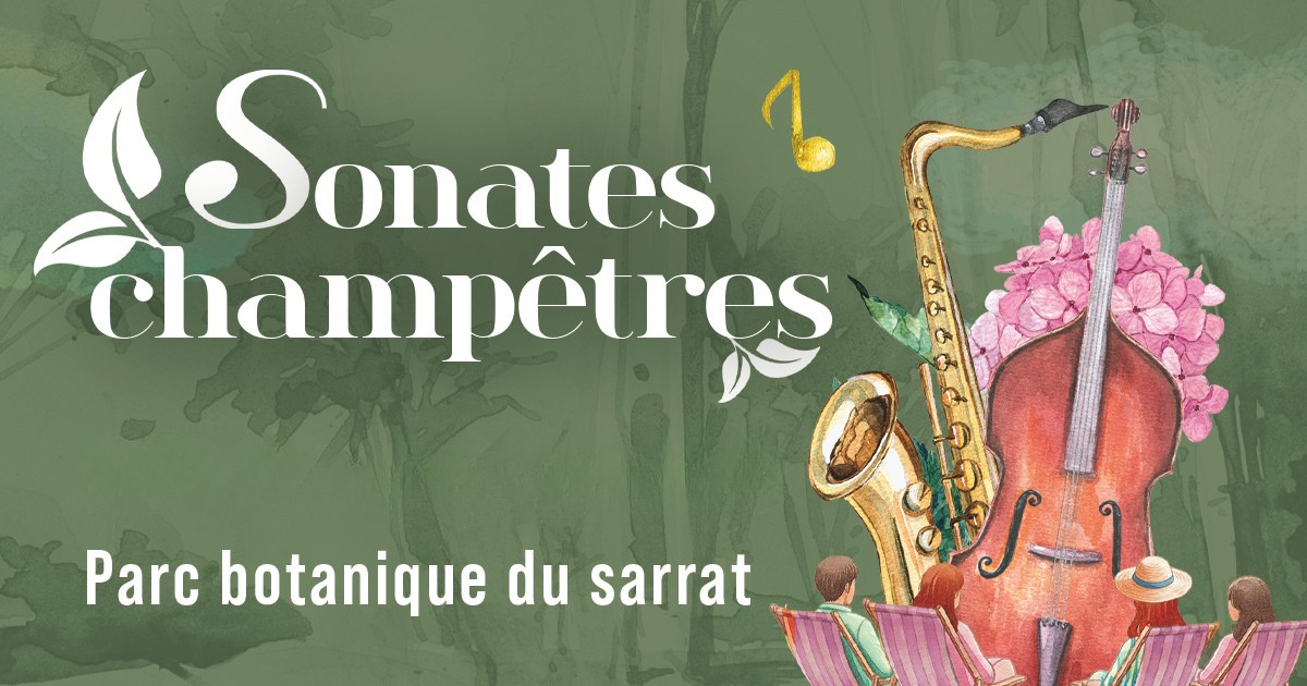 Sonates champêtres : Classe de musique de chambre