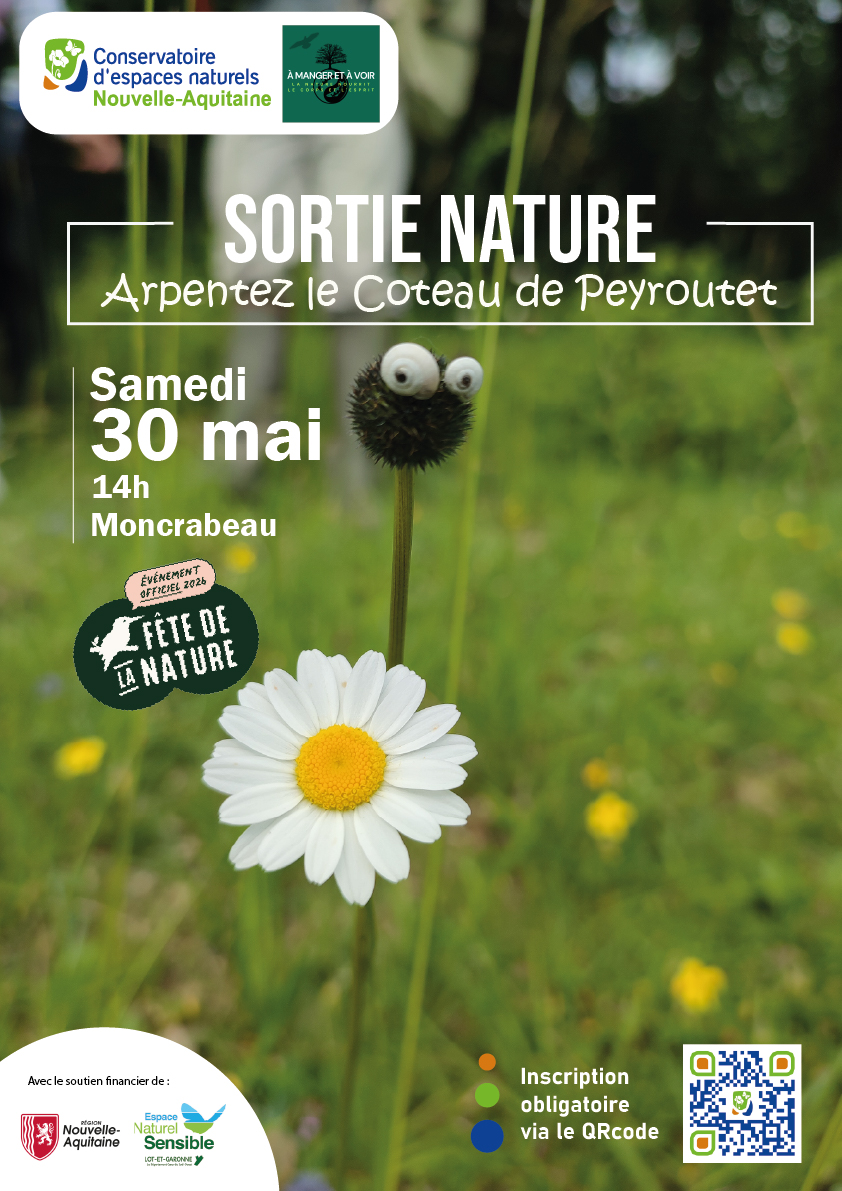 Fête de la Nature :  découverte du coteau de Peyroutet