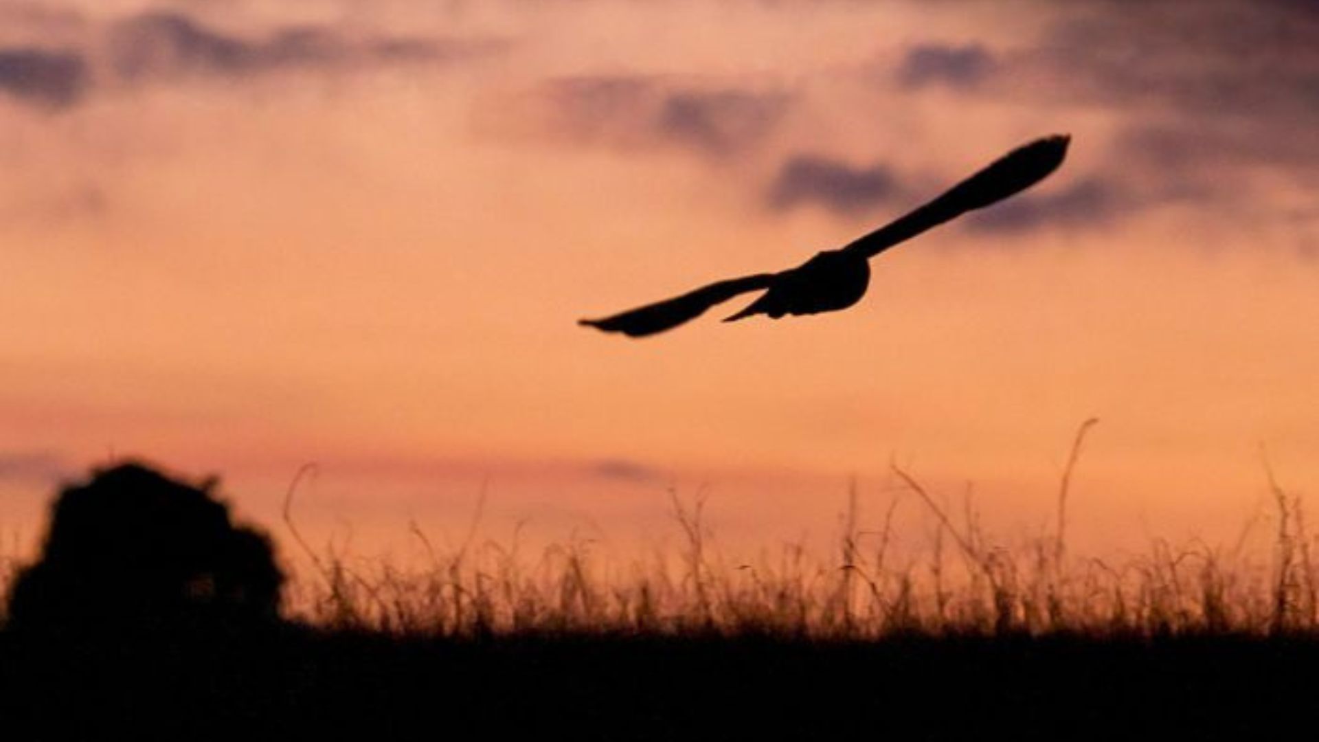Sortie crépusculaire