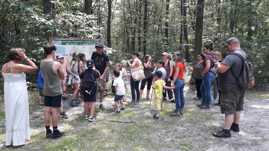 Forêt communale des Allois