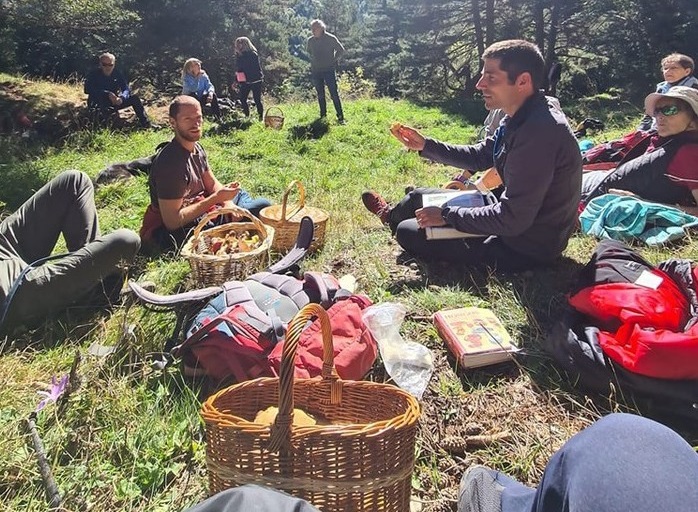 Sortie à la découverte des champignons