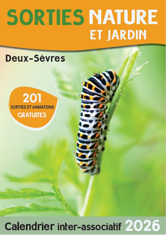 SORTIE NATURE : SORTIE CHAMPIGNONS — visuel événement